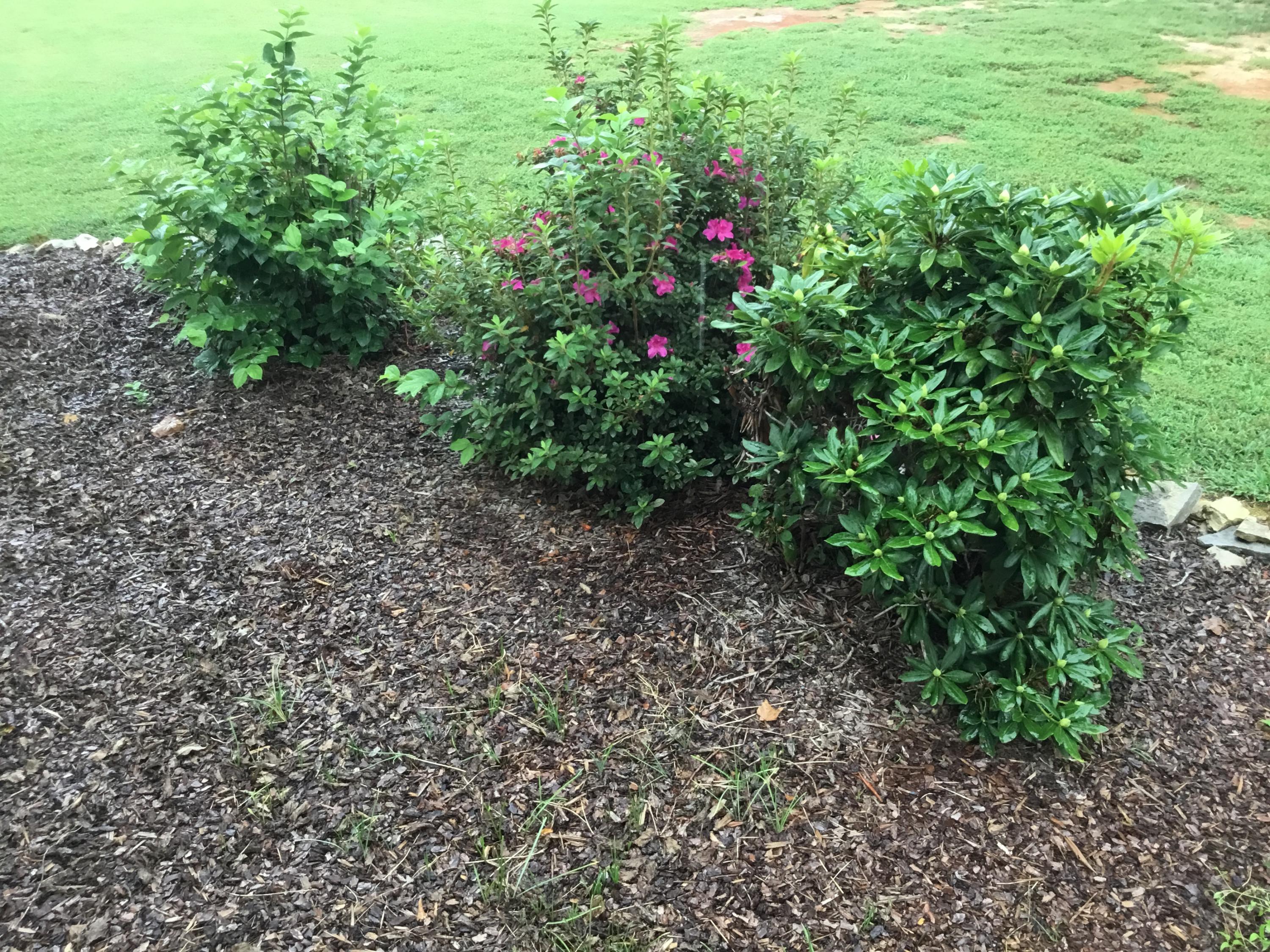 1166 Grand Center Road Chickamauga, GA 30707 - Photo 9 of 53 landscaping