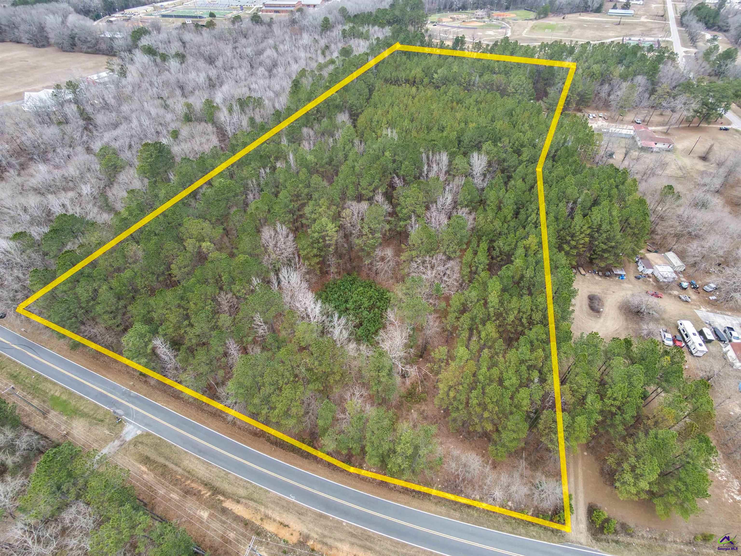 12.6-acres Hicks Road Roberta, GA 31078 - Photo 6 of 17