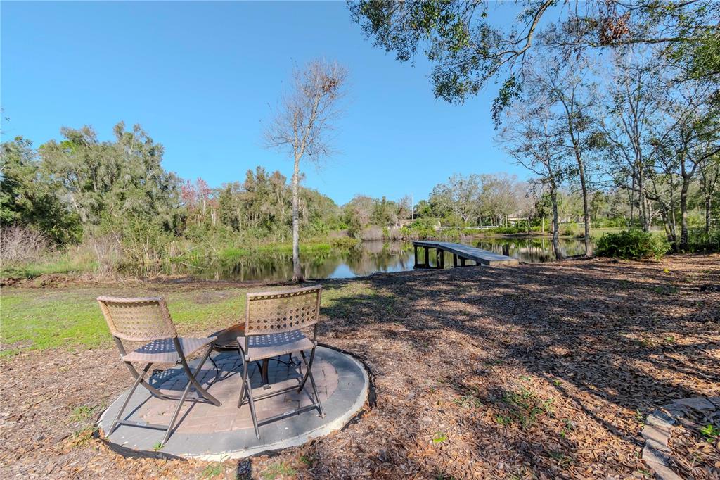9250 Rhea Drive Odessa, FL 33556 - Photo 60 of 67 Gallery Image 60