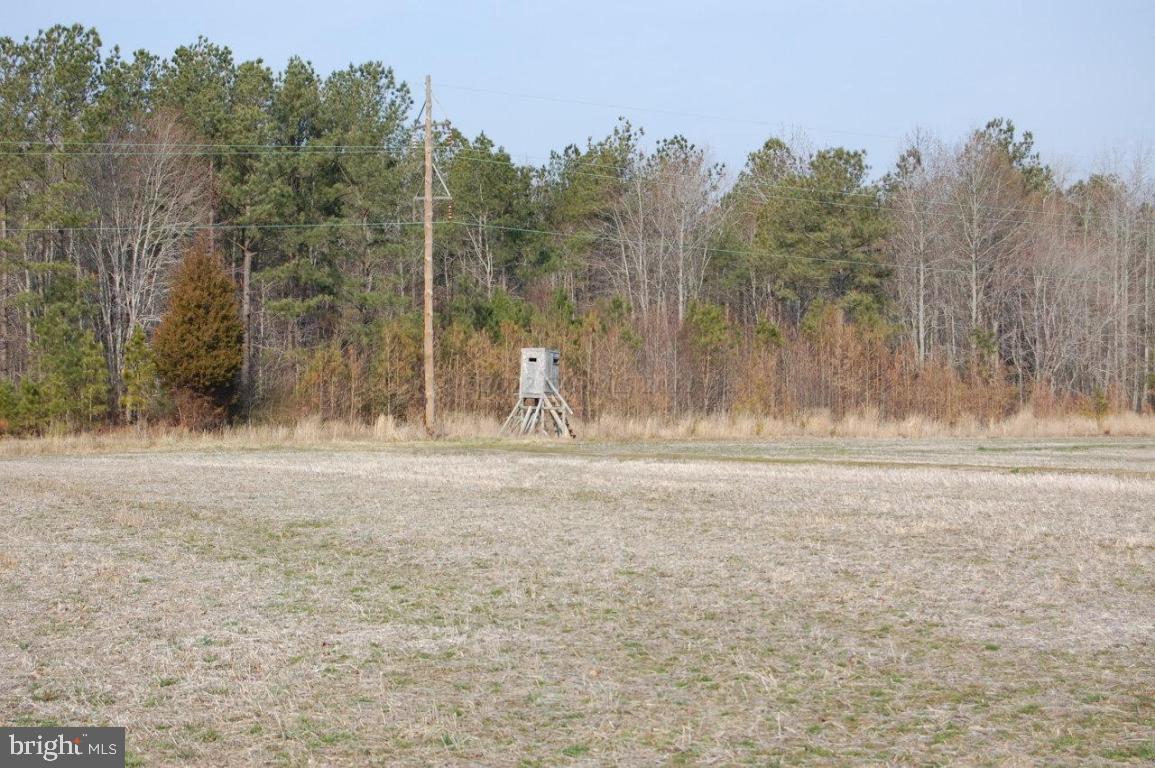 6147 Castle Hill Road Snow Hill, MD 21863 - Photo 3 of 13 Gallery Image 3