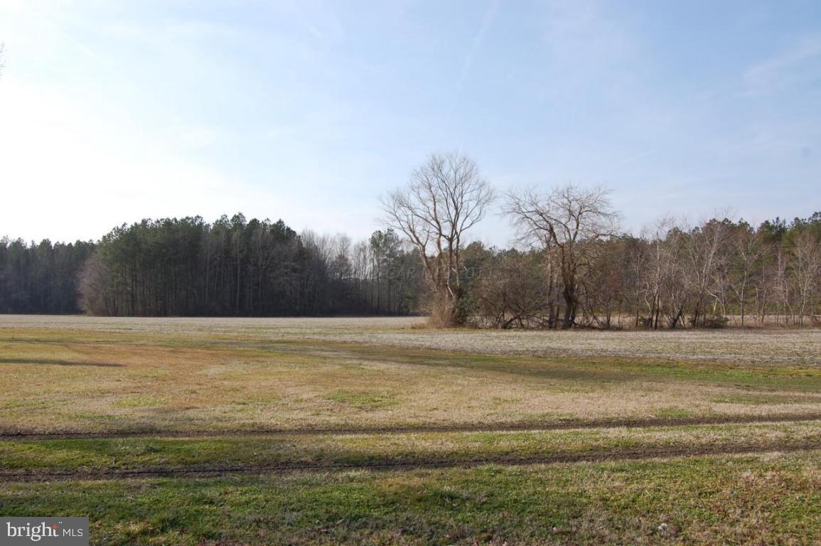6147 Castle Hill Road Snow Hill, MD 21863 - Photo 8 of 13 Gallery Image 8