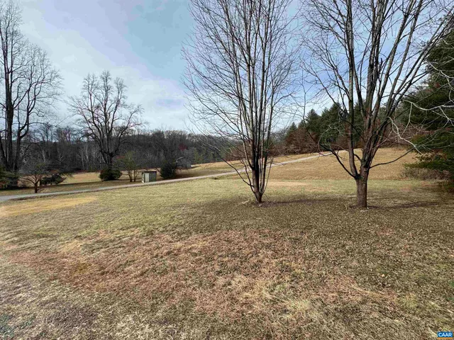 a view of dirt yard with a large tree
