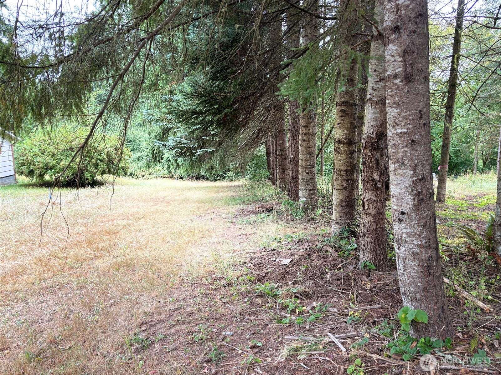 B-d Southeast Rose Street Winlock, WA 98596 - Photo 11 of 16 a backyard of a house with lots of green space