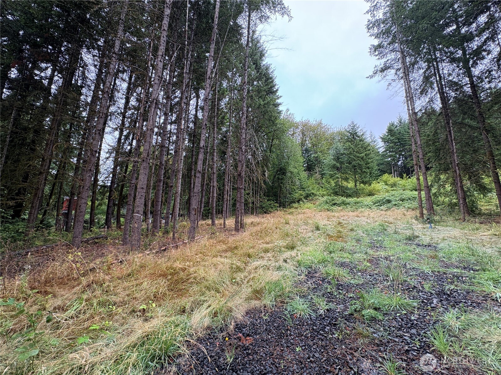 B-d Southeast Rose Street Winlock, WA 98596 - Photo 2 of 16 a view of backyard with green space