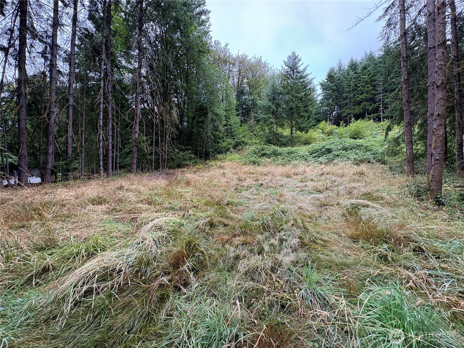 B-d Southeast Rose Street Winlock, WA 98596 - Photo 5 of 16 a backyard of a house with lots of green space