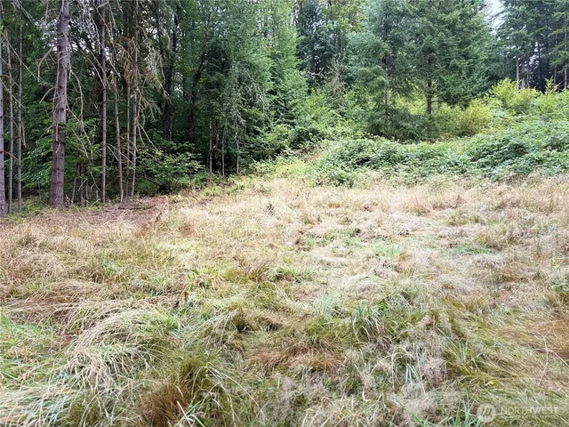 a view of a yard with plants and trees