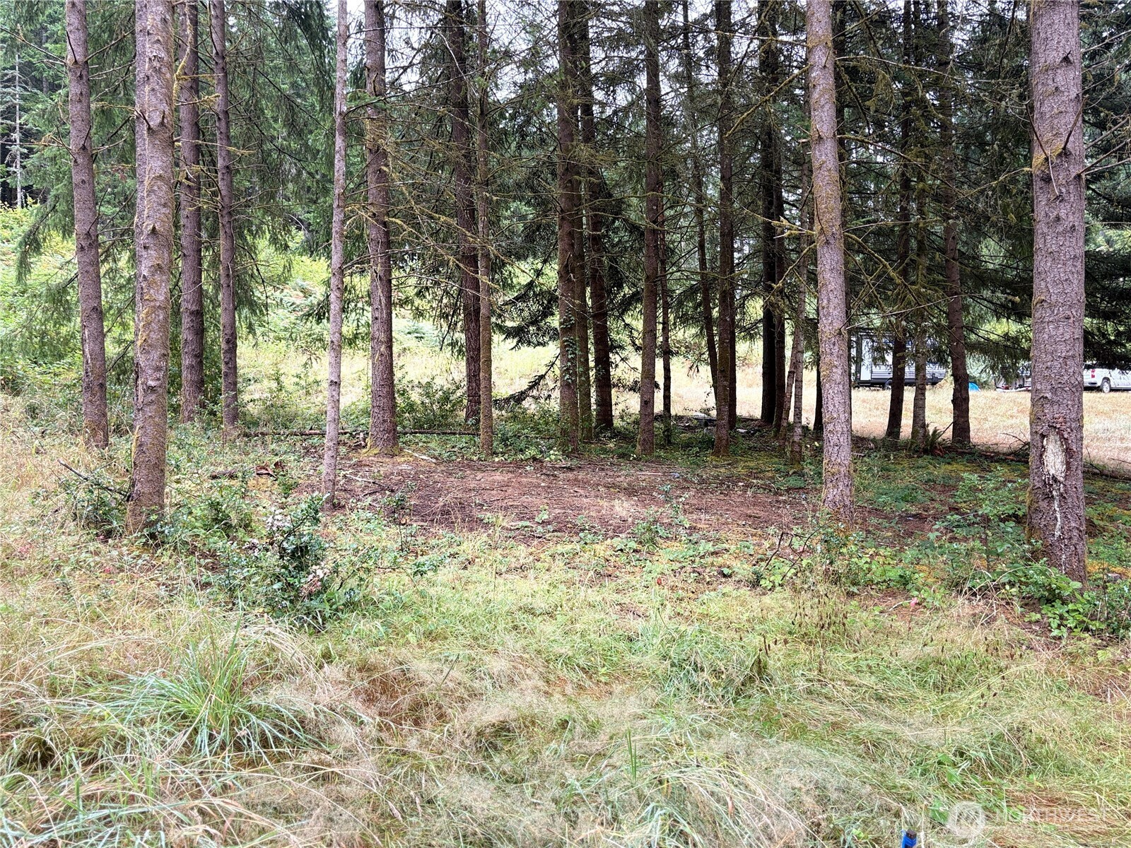 B-d Southeast Rose Street Winlock, WA 98596 - Photo 7 of 16 a view of outdoor space with trees