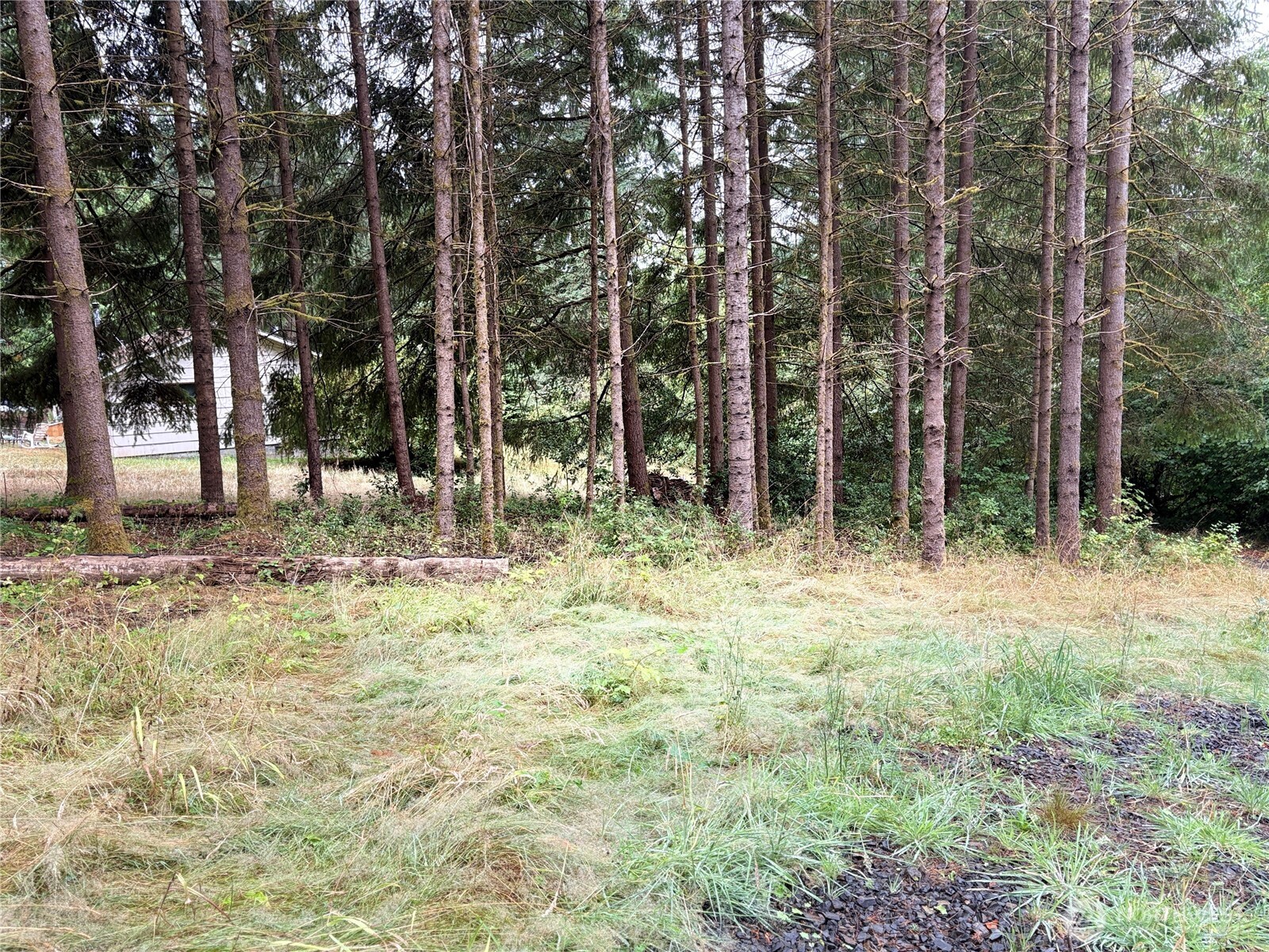 B-d Southeast Rose Street Winlock, WA 98596 - Photo 8 of 16 a backyard of a house with lots of green space