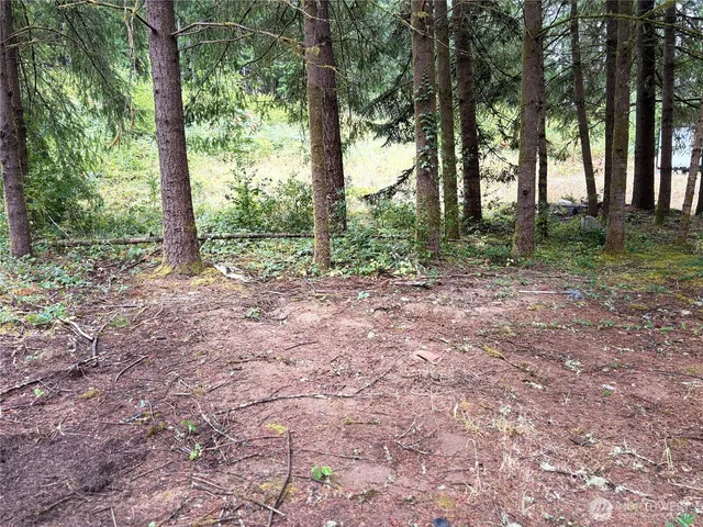 a view of outdoor space and green space