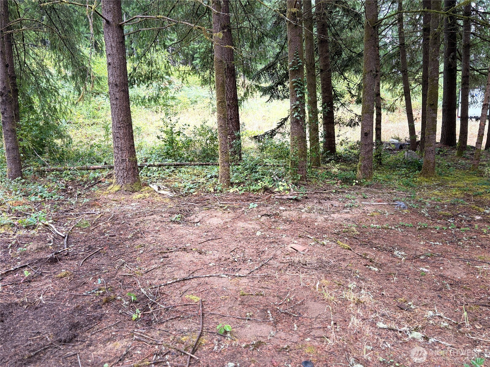 B-d Southeast Rose Street Winlock, WA 98596 - Photo 9 of 16 a view of outdoor space and green space