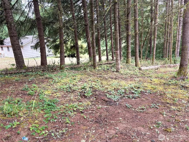 a view of a yard with plants and trees
