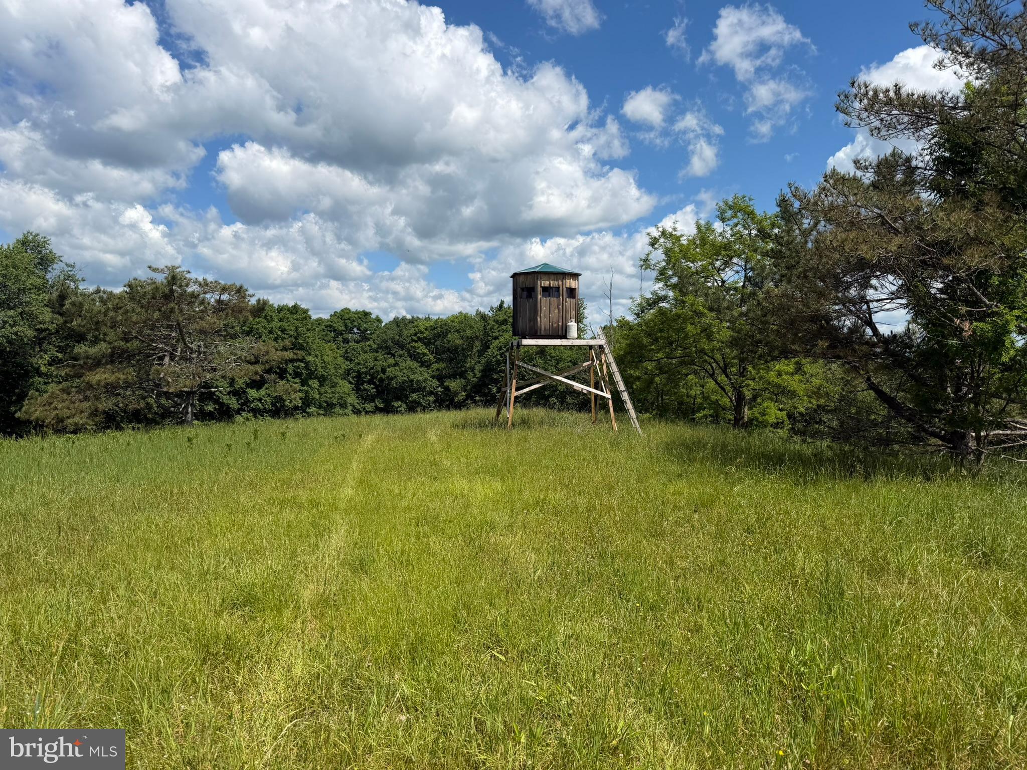 848 Sugar Camp Road Clearfield, PA 16830 - Photo 44 of 118