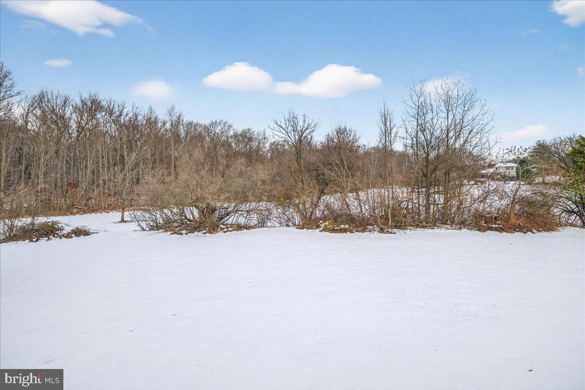 7 Redwood Court Princeton Junction, NJ 08550 - Photo 52 of 55 View from the back deck of stunning nature scenes