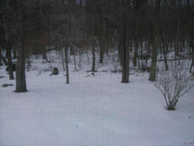 30 Albert Road Mountain Top, PA 18707 - Photo 44 of 45 Gallery Image 44
