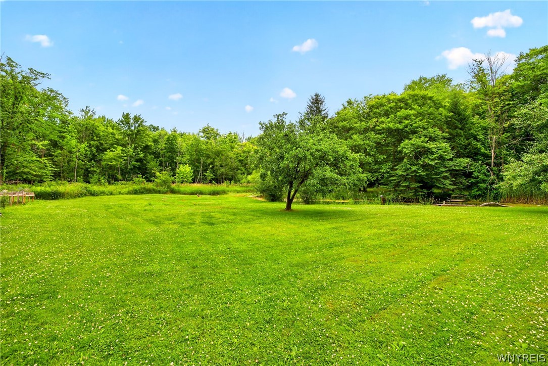 2367 Ellicott Road Caledonia, NY 14423 - Photo 27 of 38