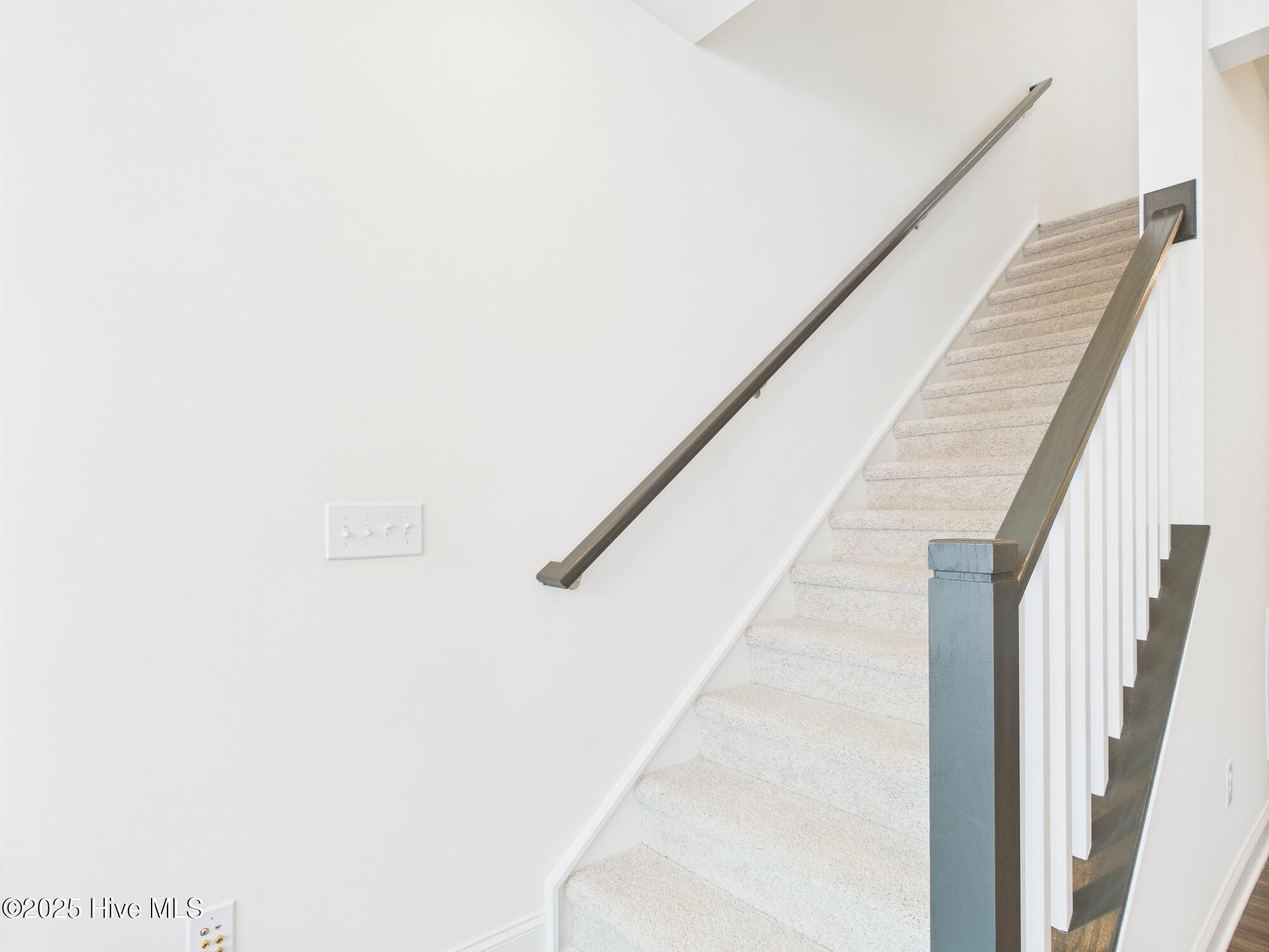 1259 Shaw View Alley Raleigh, NC 27601 - Photo 17 of 46 CAM01608G0-PR0097-STILL019