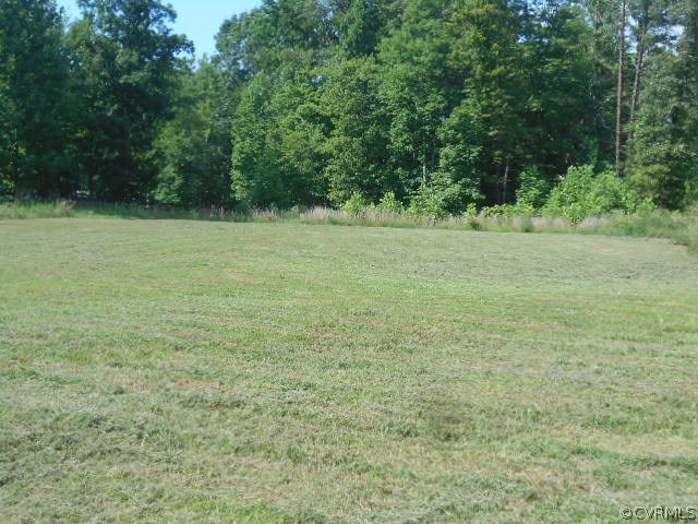 81 Johnson Station Road Dillwyn, VA 23936 - Photo 11 of 12 Gallery Image 11