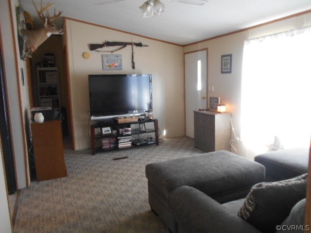 81 Johnson Station Road Dillwyn, VA 23936 - Photo 3 of 12 Gallery Image 3