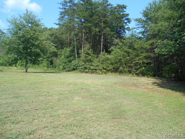 81 Johnson Station Road Dillwyn, VA 23936 - Photo 10 of 12 Gallery Image 10