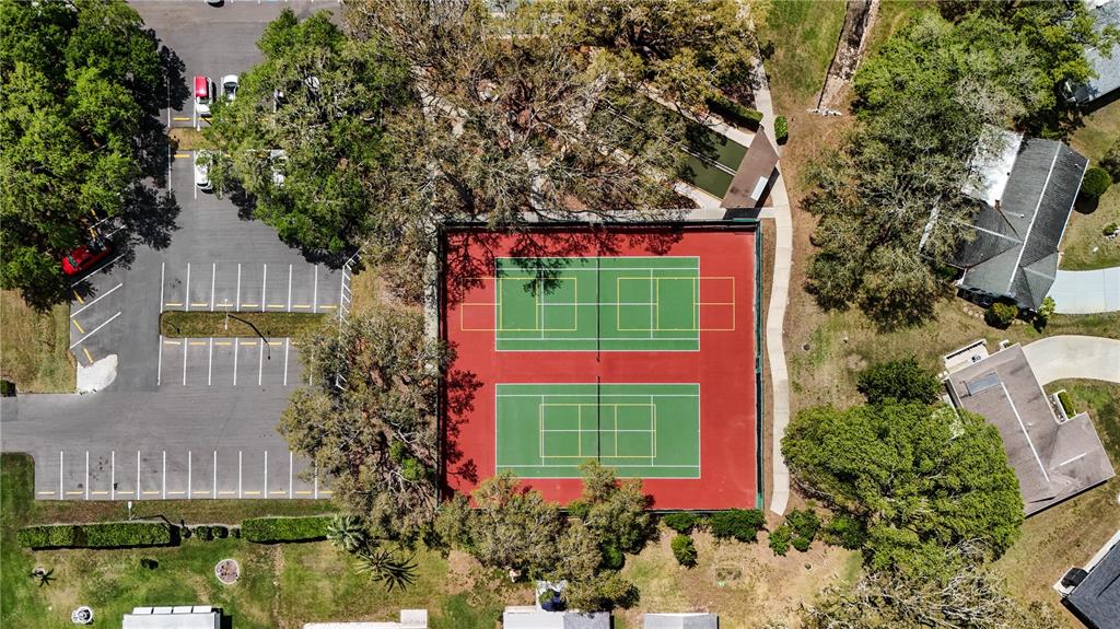 11341 Winwood Place Port Richey, FL 34668 - Photo 25 of 26