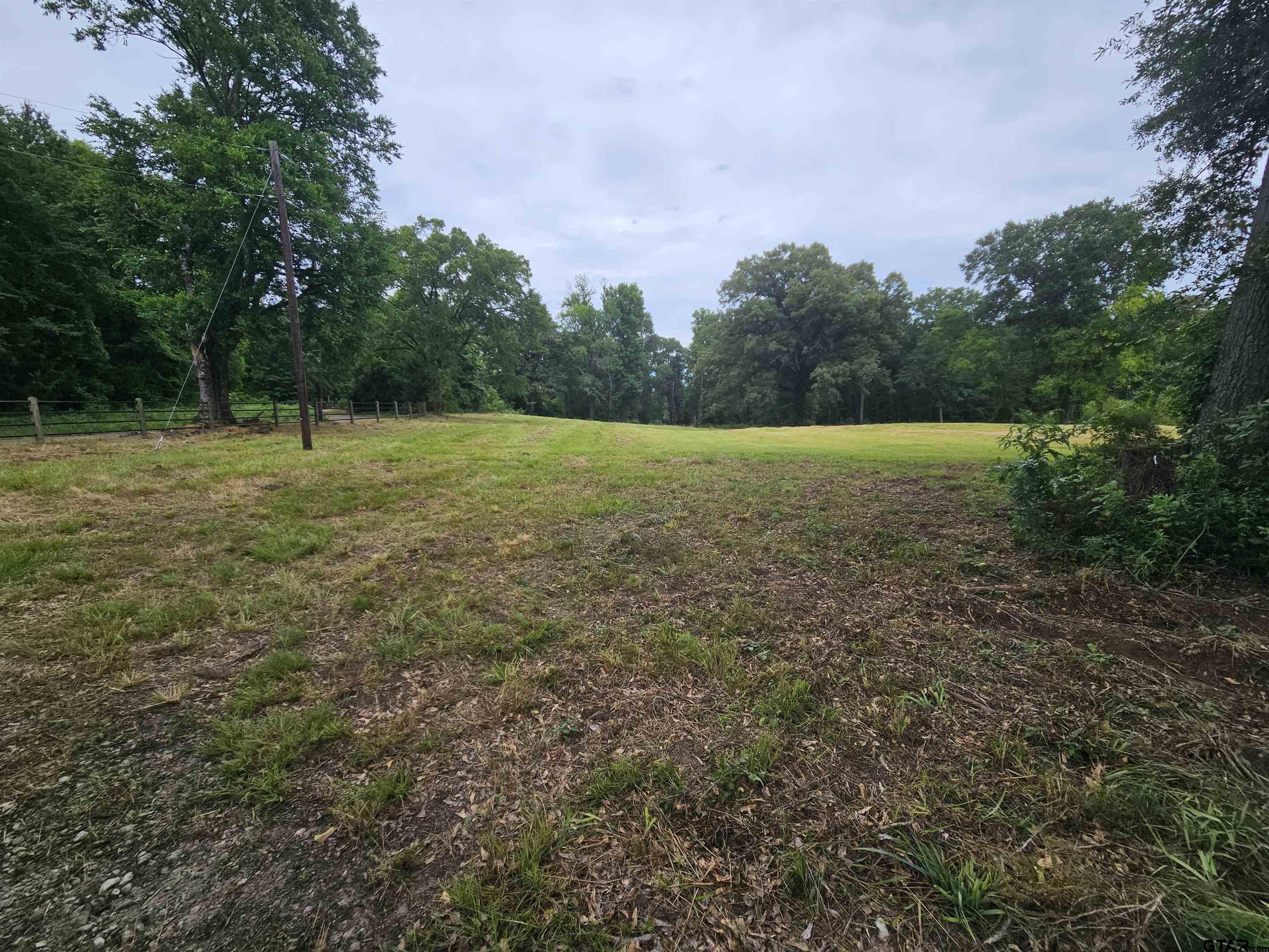 4644 Giraffe Road Gilmer, TX 75644 - Photo 16 of 20
