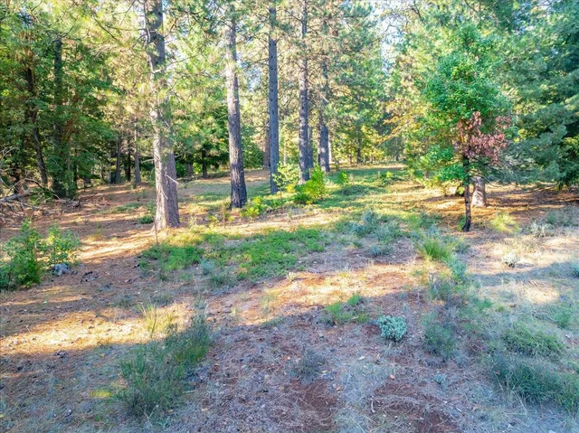 $490,000 | 111 Alaska Peak Road, North San Juan, CA 95960