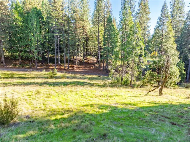 $490,000 | 111 Alaska Peak Road, North San Juan, CA 95960