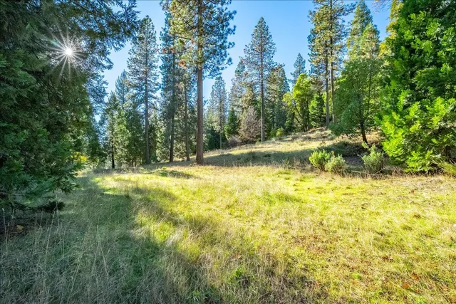 $490,000 | 111 Alaska Peak Road, North San Juan, CA 95960