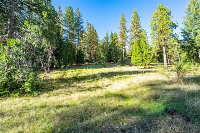 $490,000 | 111 Alaska Peak Road, North San Juan, CA 95960
