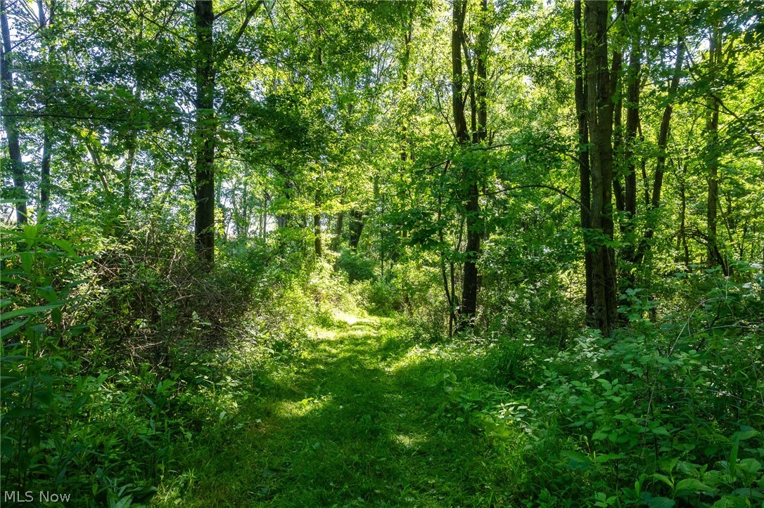 Ridge Road Minerva, OH 44657 - Photo 19 of 49