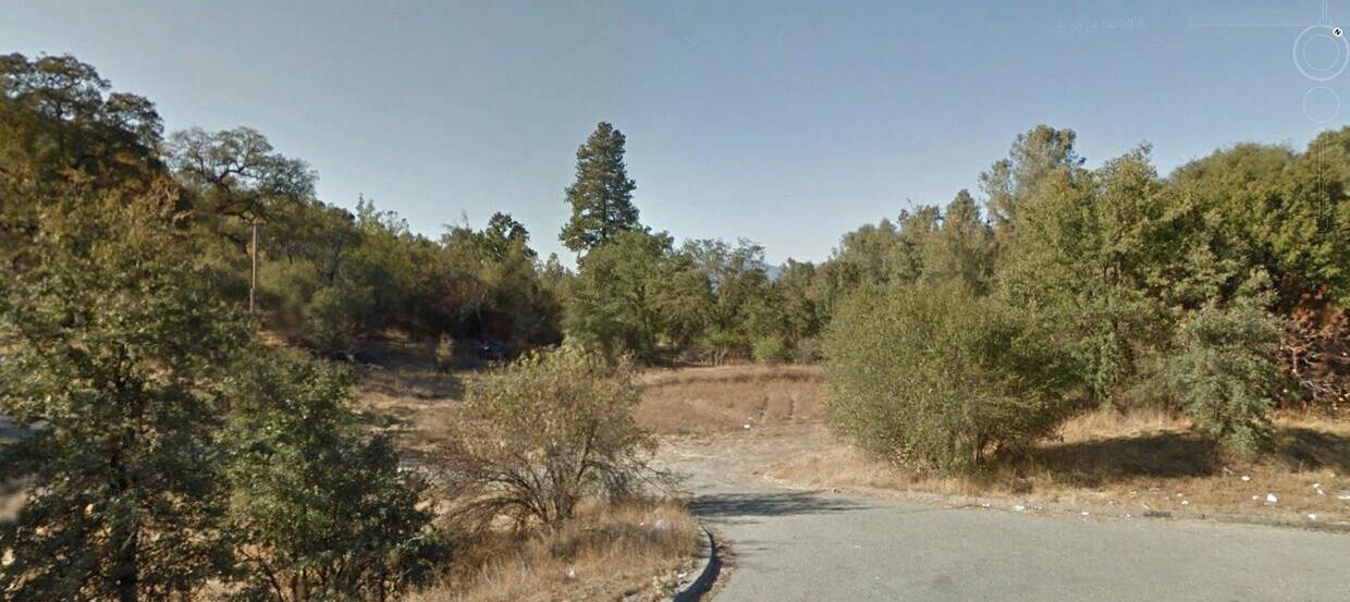 0 Victoria Lane Oakhurst, CA 93644 - Photo 5 of 5 a view of a dry yard with trees
