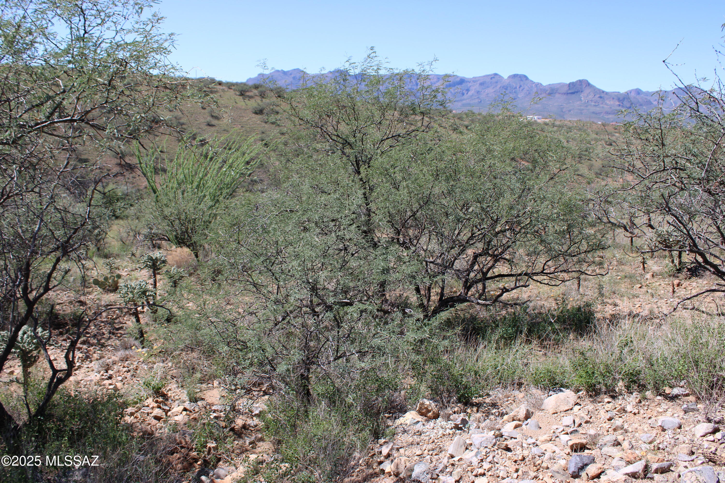 346 Anfibio Court, Unit 83 Rio Rico, AZ 85648 - Photo 5 of 14