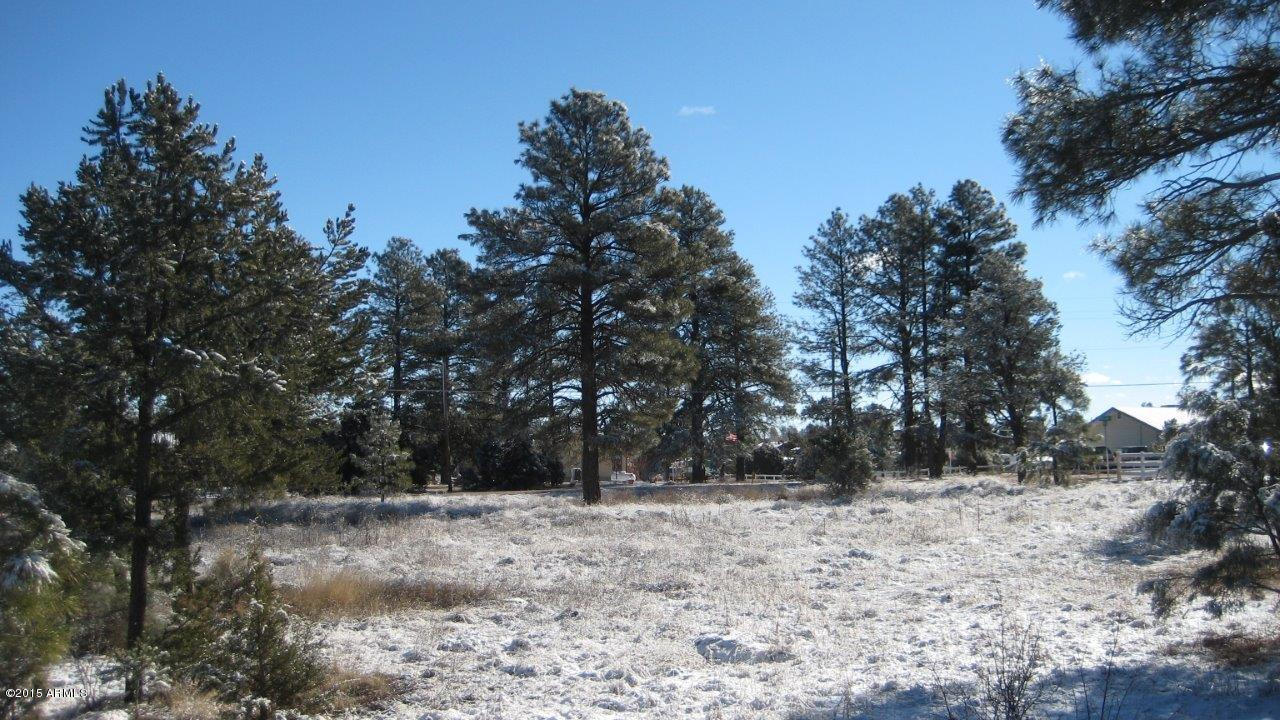 2184 Ruby, Unit 73 Overgaard, AZ 85933 - Photo 11 of 14 IMG_1944
