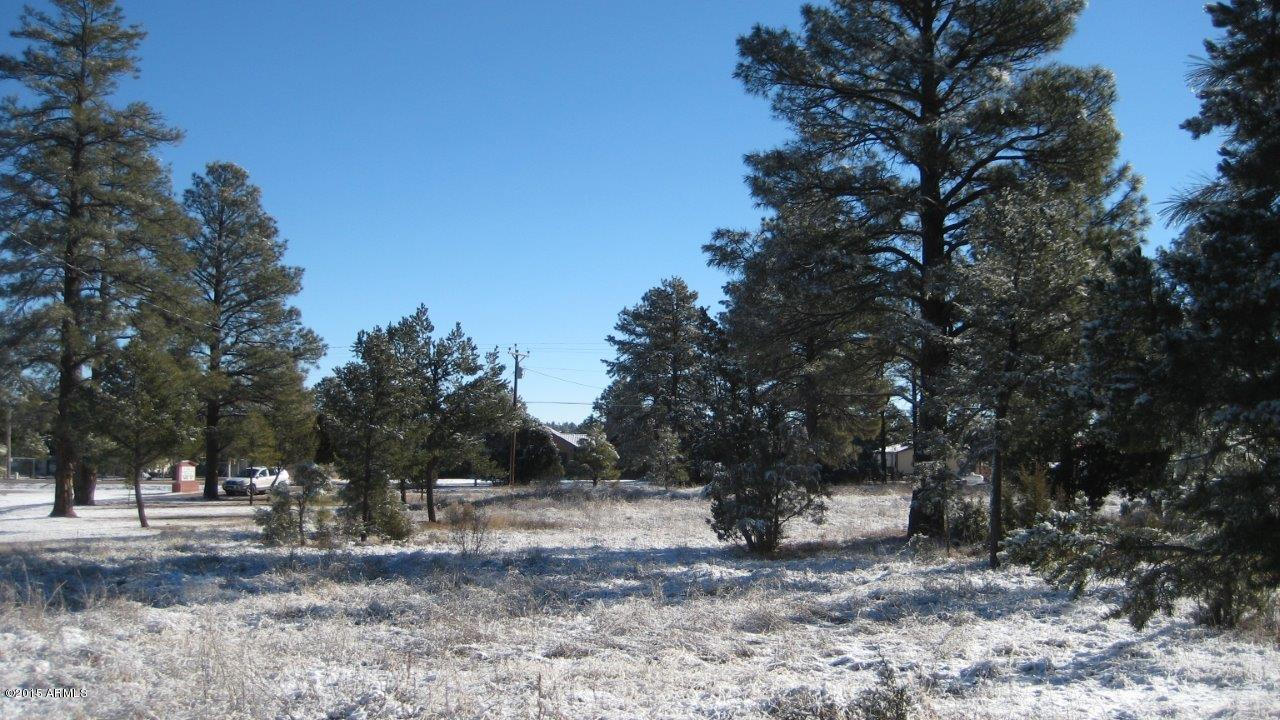 2184 Ruby, Unit 73 Overgaard, AZ 85933 - Photo 9 of 14 IMG_1942