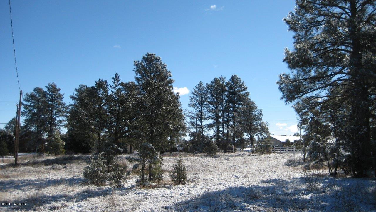 2184 Ruby, Unit 73 Overgaard, AZ 85933 - Photo 10 of 14 IMG_1943