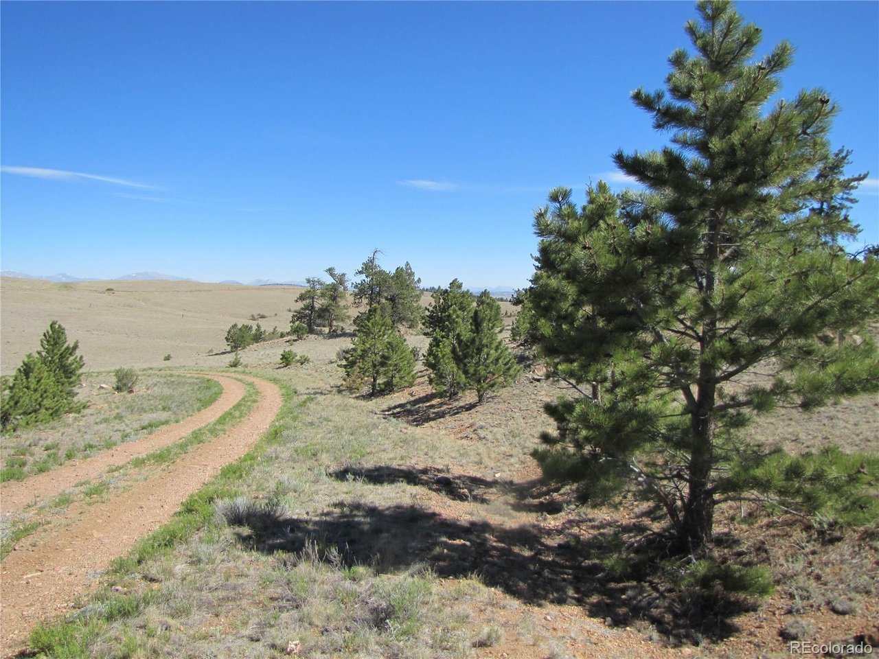 5085 Ouray Road Hartsel, CO 80449 - Photo 13 of 13 Gallery Image 13