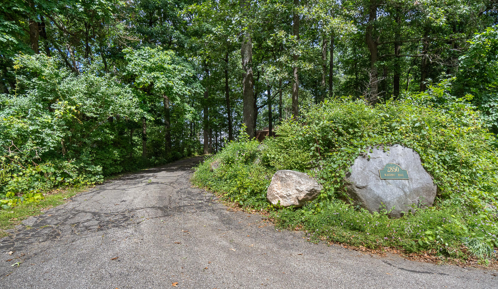 2850 Blackman Road Jackson, MI 49201 - Photo 64 of 64 2850 Blackman Rd Jackson MI - web-65