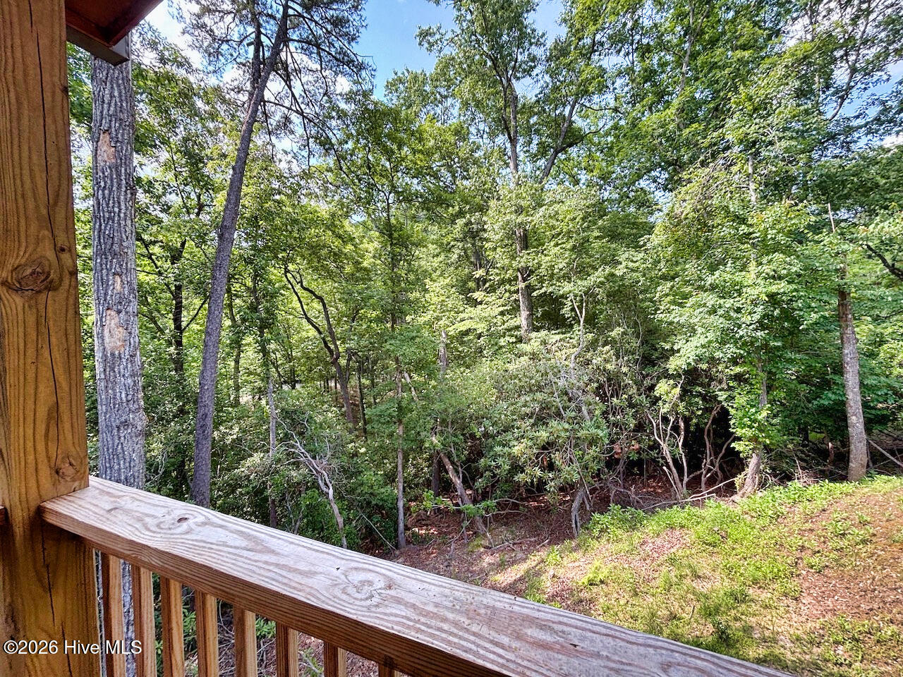 325 Dawsons Lane Murphy, NC 28906 - Photo 17 of 33