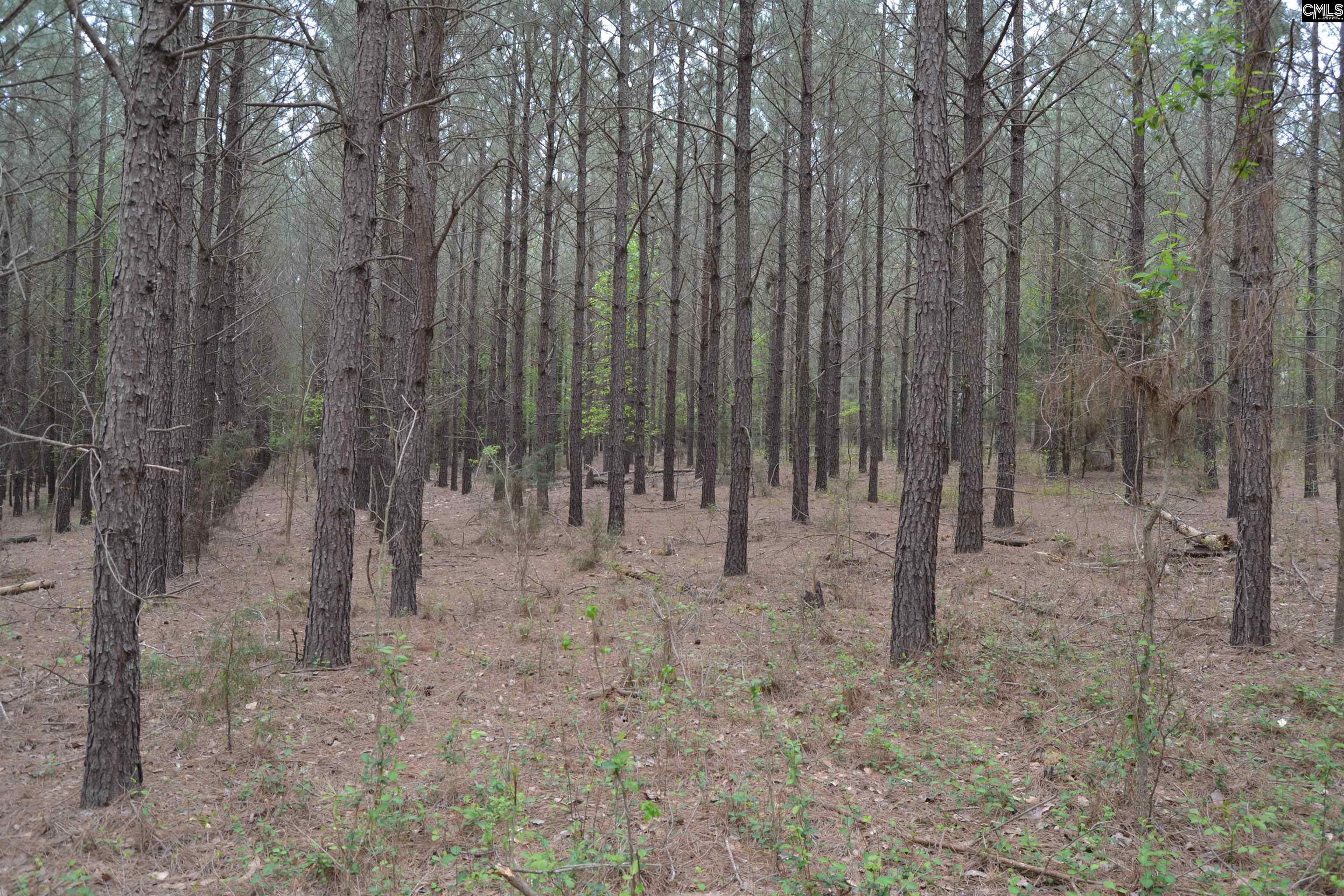 1309 Farming Creek Road Irmo, SC 29063 - Photo 2 of 8