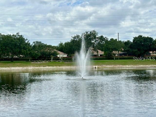 806 Winder Oaks Drive Gotha, FL 34734 - Photo 46 of 47 a view of a lake with a big yard