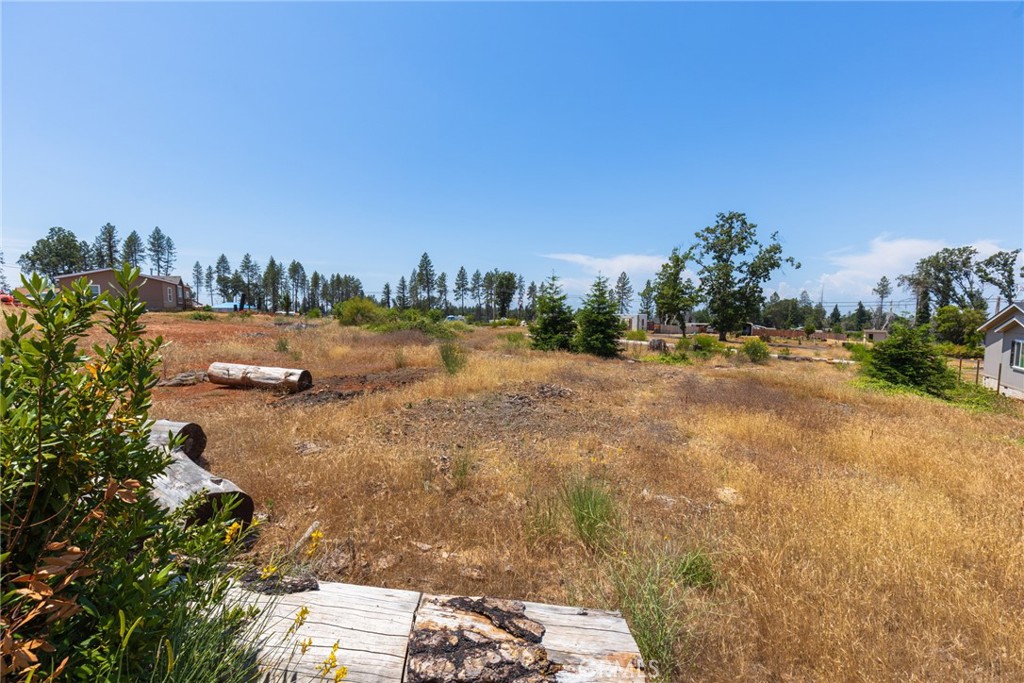6368 Graham Road Paradise, CA 95969 - Photo 5 of 9 a view of a dry yard with trees