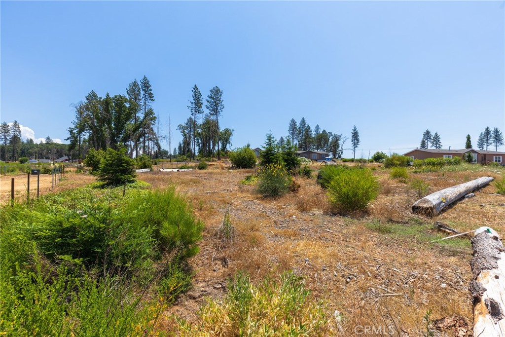 6368 Graham Road Paradise, CA 95969 - Photo 6 of 9 a view of a yard with palm trees and a lake view