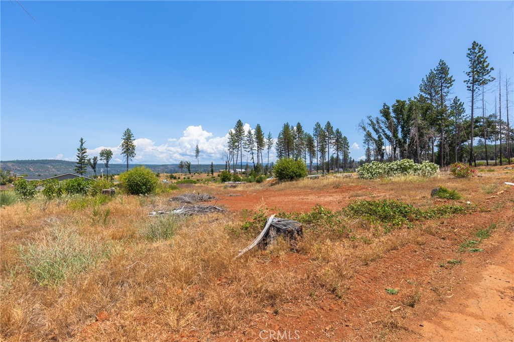 6368 Graham Road Paradise, CA 95969 - Photo 7 of 9 a view of a town with big trees