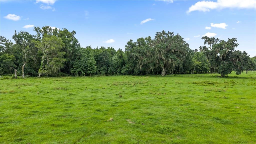 774 County Road Webster, FL 33597 - Photo 12 of 18 Gallery Image 12