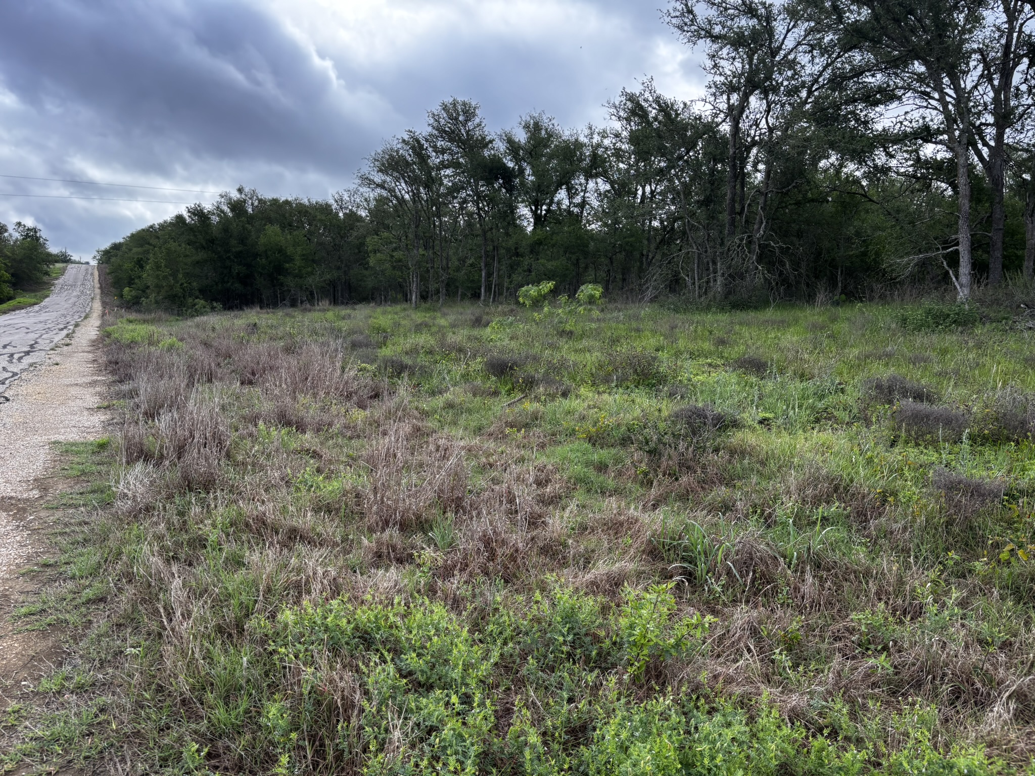 683 County Road 467 Elgin, TX 78621 - Photo 14 of 26 Expansive open land featuring natural vegetation and a tree line along the far boundary