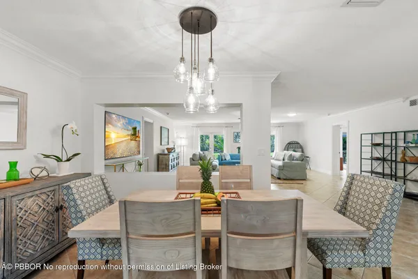 a view of a yard with plants and trees