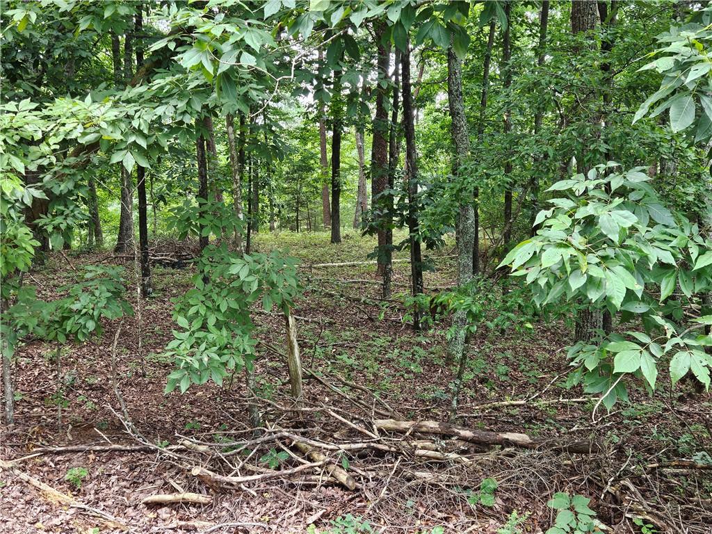 1467 Hanna Drive Ranger, GA 30734 - Photo 2 of 6 Gallery Image 2
