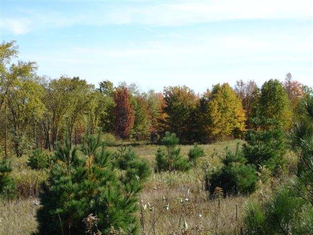 On Hilltop Road Catawba, WI 54515 - Photo 5 of 8 Gallery Image 5