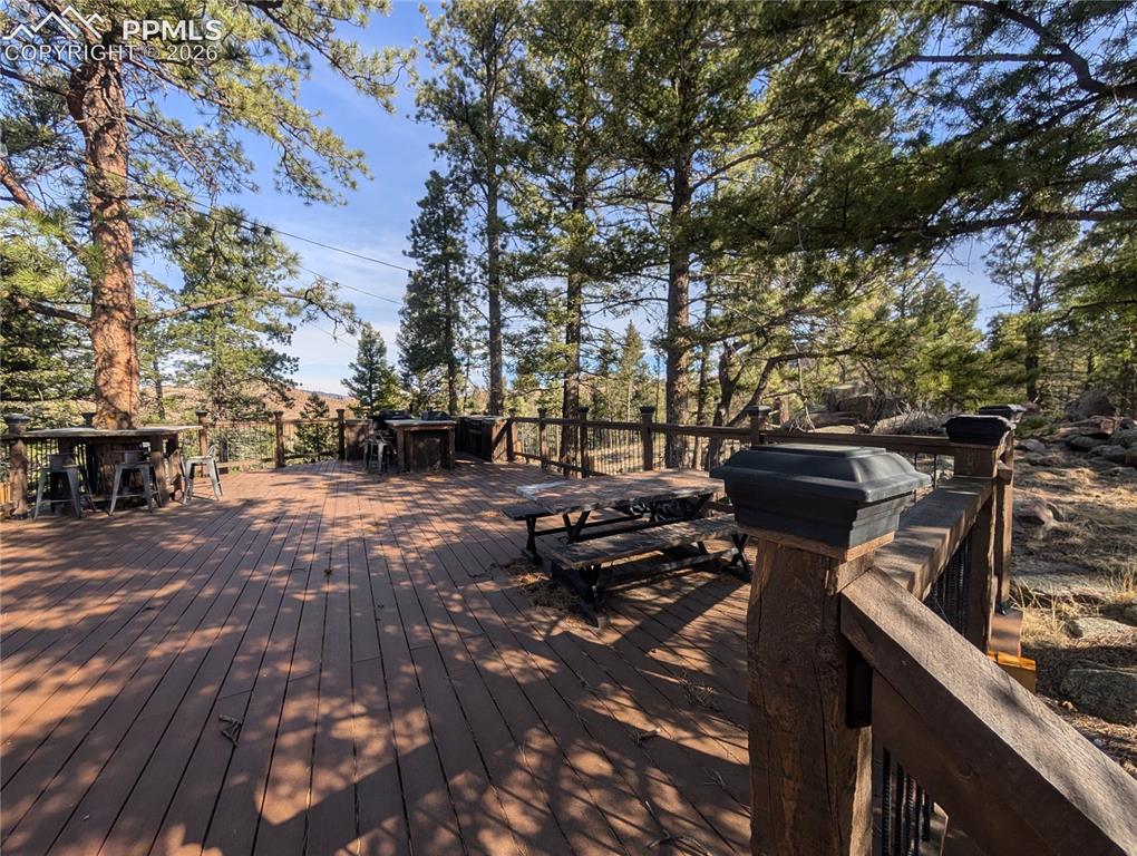1176 Trail Creek Road Lake George, CO 80827 - Photo 5 of 34