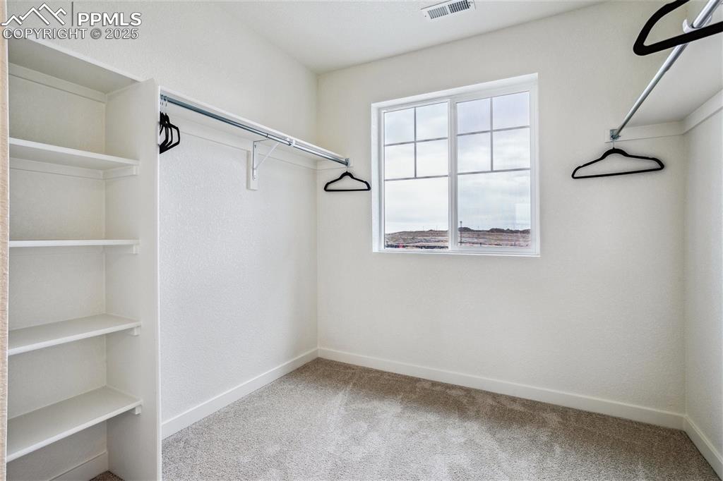 6146 Alpine Rdg Drive Colorado Springs, CO 80925 - Photo 19 of 22 a view of an empty room with a window